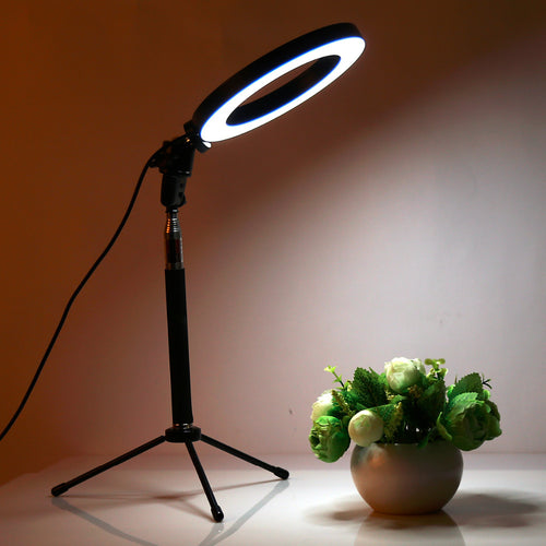 Tech & Gadgets