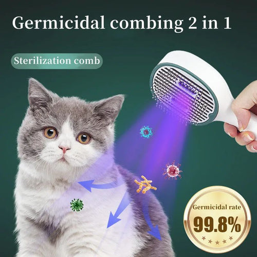Hair Cleaning Brush With Mist Rechargeable  Cat Grooming Brush For Pet